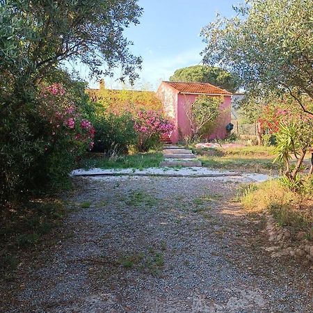 Fréjus Maison De Vacances, Proche De La Plage מראה חיצוני תמונה
