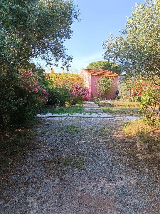 Fréjus Maison De Vacances, Proche De La Plage מראה חיצוני תמונה